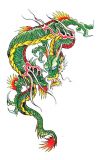 chinese green dragon pic tattoo